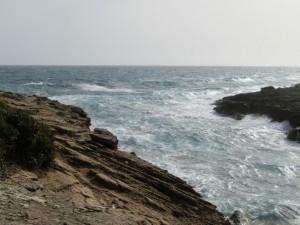 IMG_5418 (Medium)